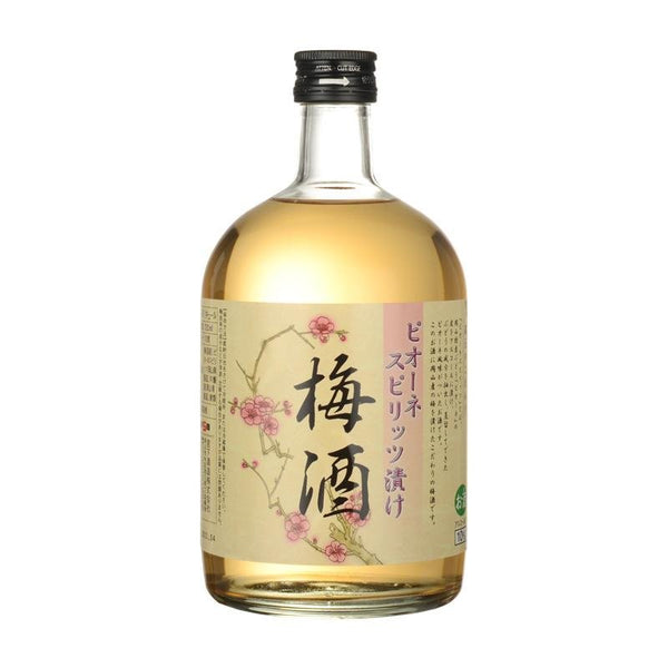 宮下 (貓眼葡萄) 梅酒 Miyashita Pione Spirits Umeshu - Open Bottle
